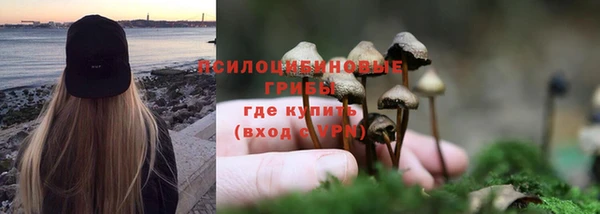 mix Лабытнанги