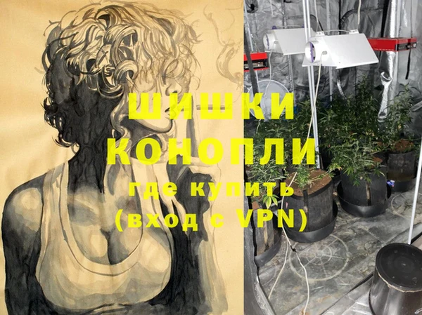 дмт Ладушкин