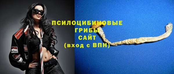 дмт Ладушкин
