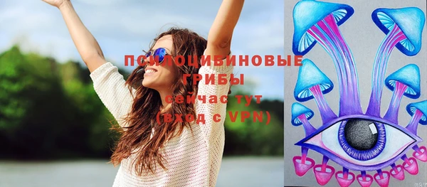 дмт Ладушкин