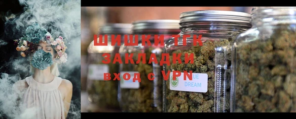 дмт Ладушкин