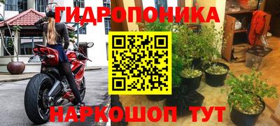 прущая мука Заволжье