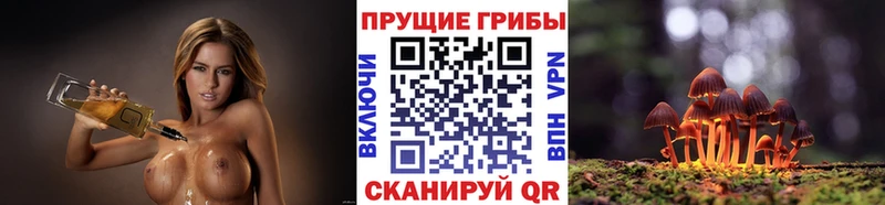 Галлюциногенные грибы прущие грибы  Люберцы 