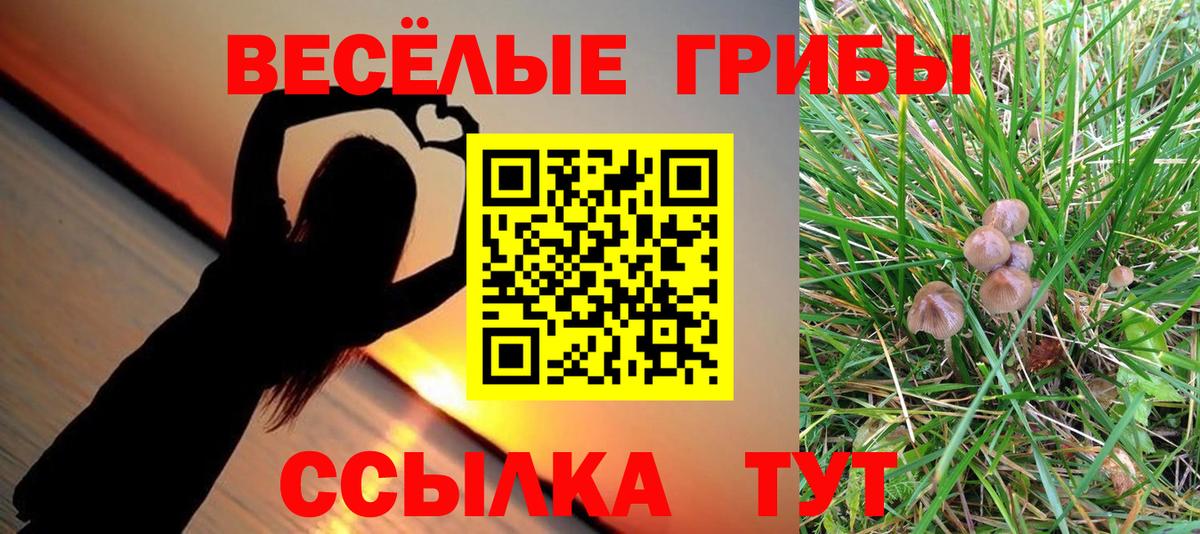 Галлюциногенные грибы Cubensis Люберцы