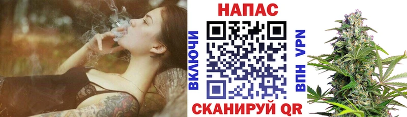 Шишки марихуана марихуана  Люберцы 